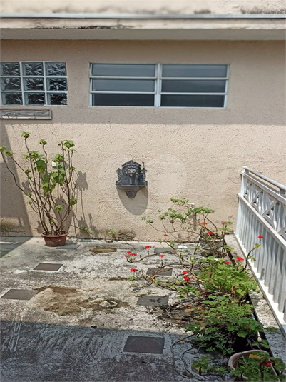 Foto REO1089699