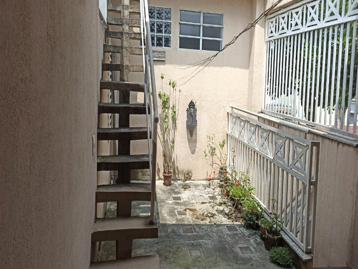 Foto REO1089699