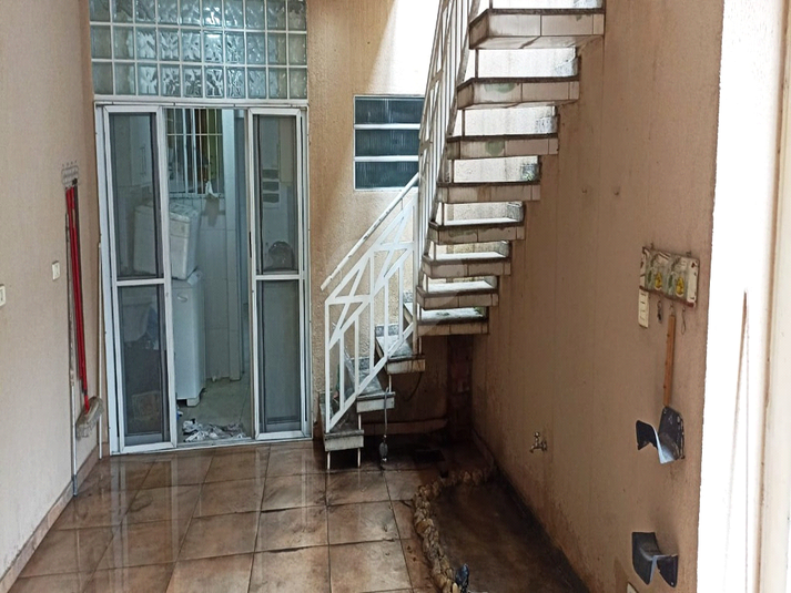 Foto REO1089699
