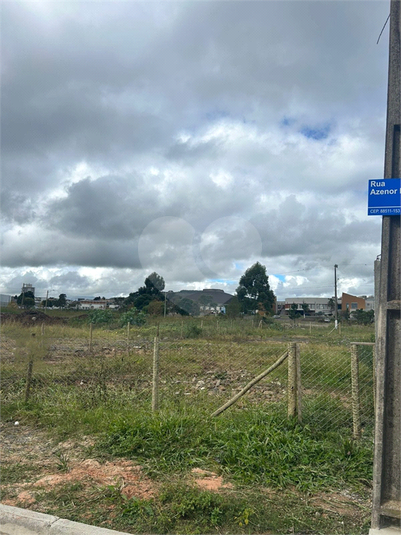 Foto REO1089701