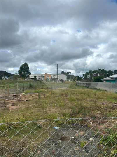Foto REO1089701