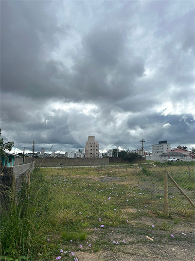 Foto REO1089701