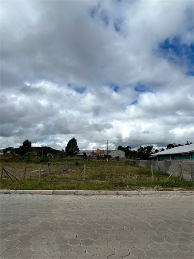 Foto REO1089701
