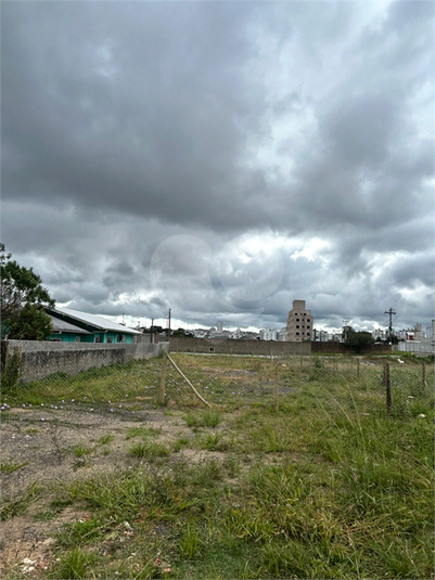 Foto REO1089701