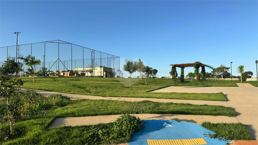 Foto REO1089712