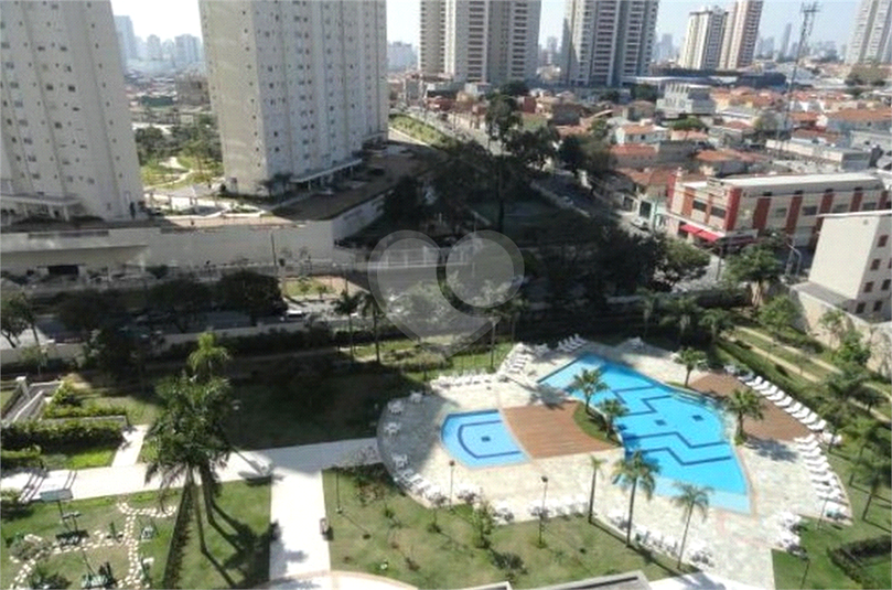 Foto REO1089716