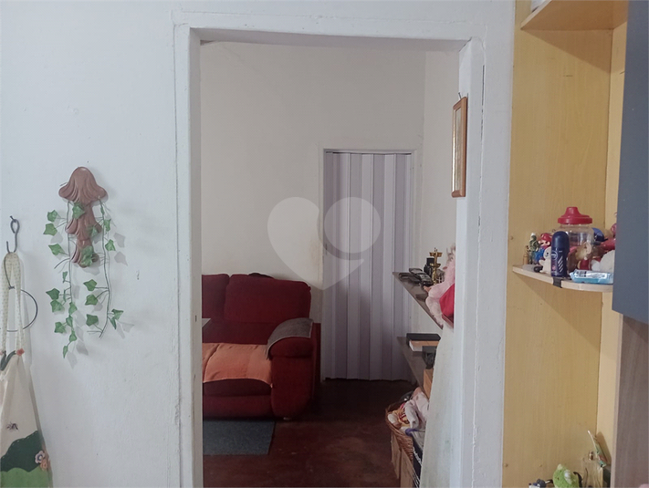 Foto REO1089719