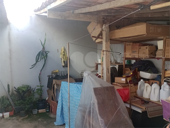 Foto REO1089719