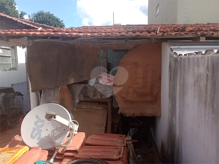 Foto REO1089719