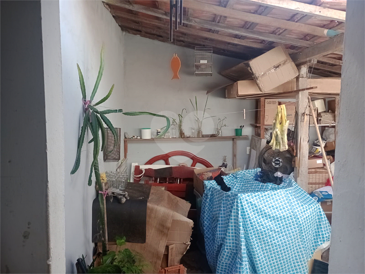 Foto REO1089719