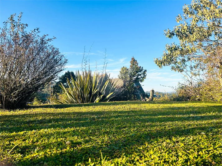 Foto REO1089725