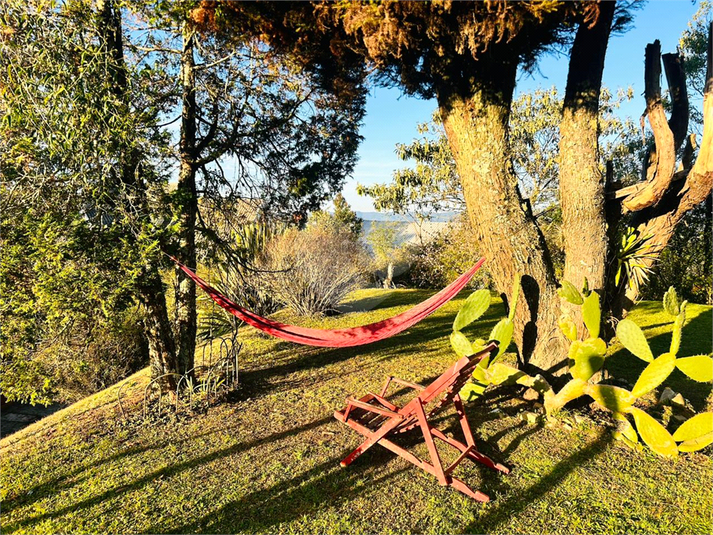 Foto REO1089725