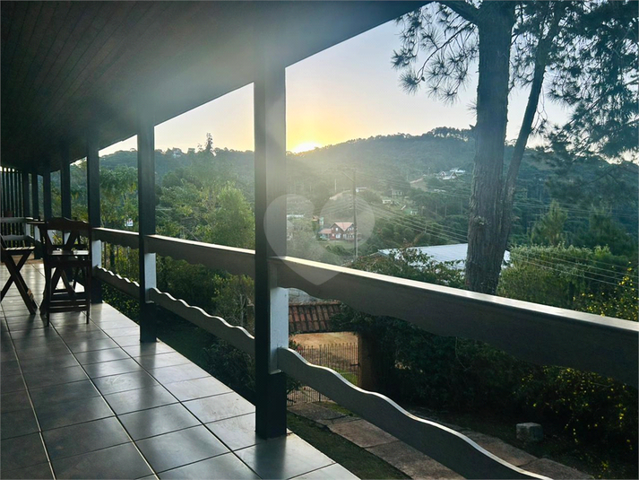 Foto REO1089725
