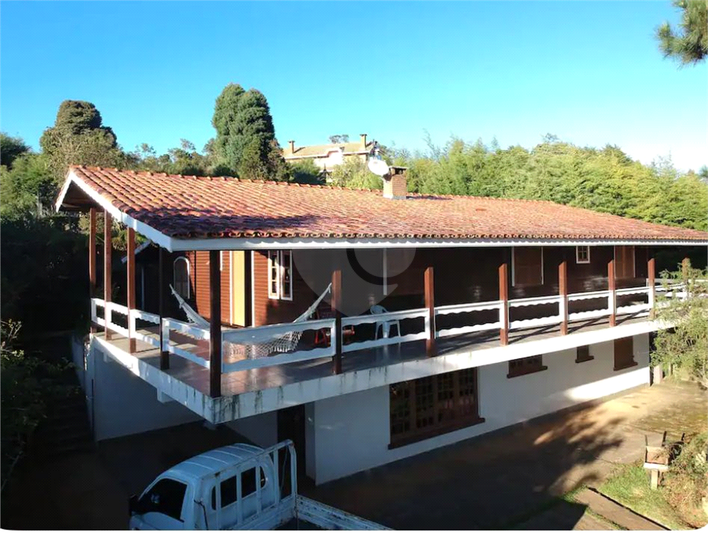 Foto REO1089725