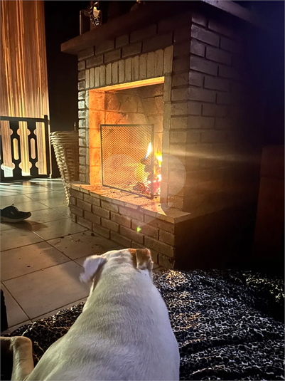 Foto REO1089725