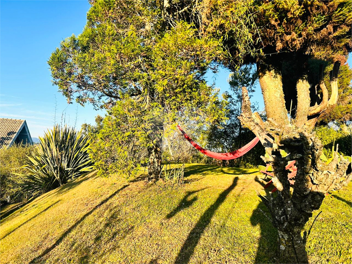Foto REO1089725