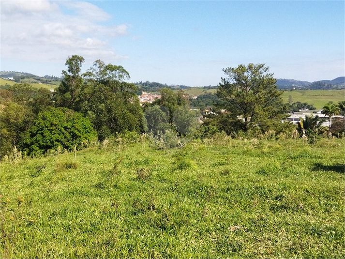 Foto REO1089726