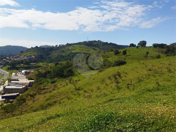 Foto REO1089726
