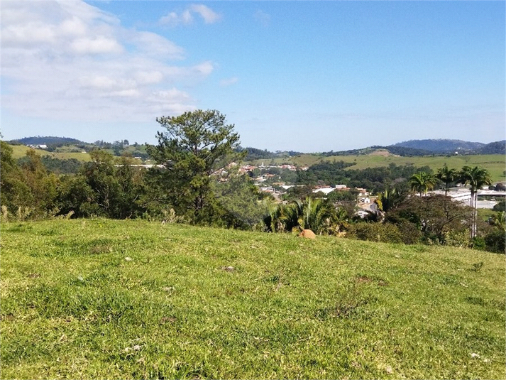 Foto REO1089726