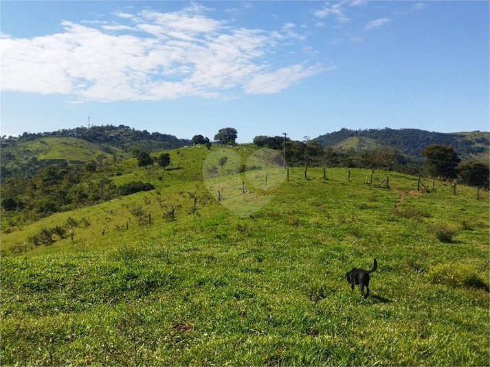 Foto REO1089726