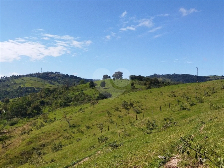 Foto REO1089726