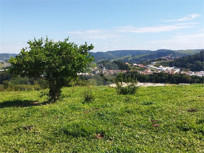 Foto REO1089726