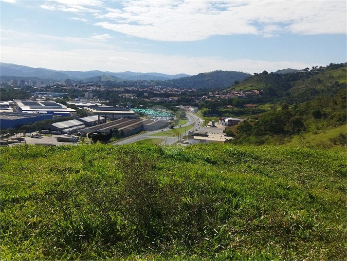 Foto REO1089726