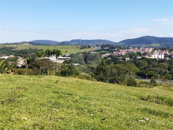 Foto REO1089726