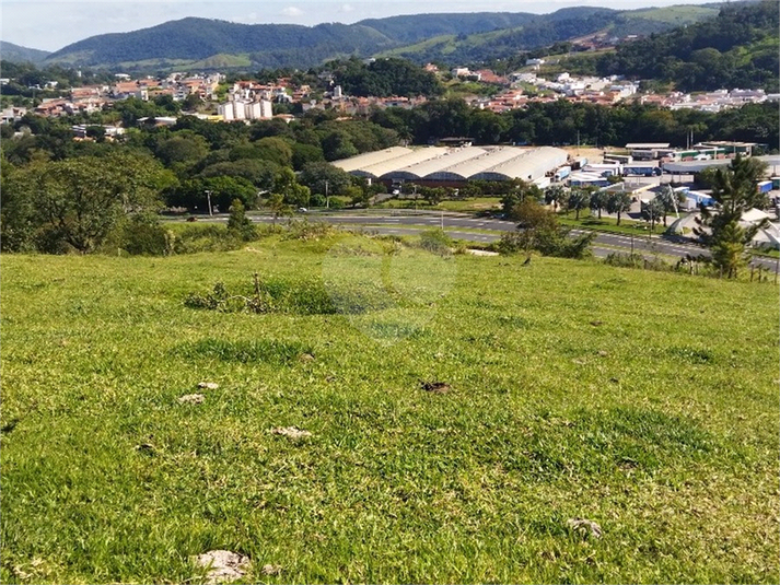 Foto REO1089726