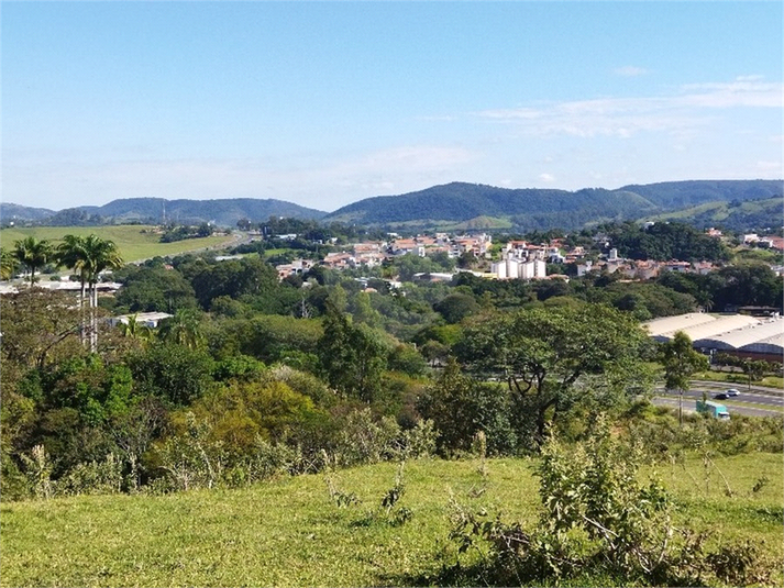 Foto REO1089726