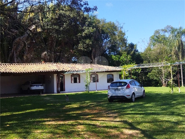 Foto REO1089726