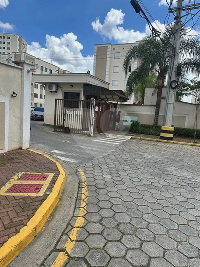 Foto REO1089732