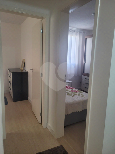Foto REO1089732