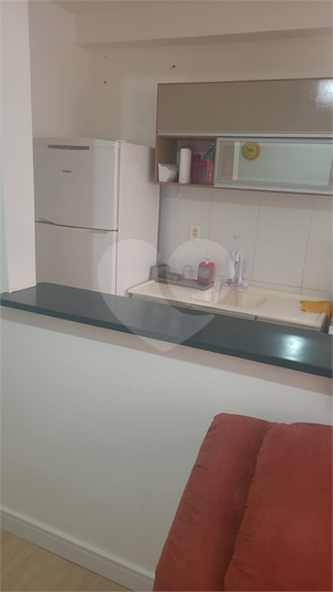 Foto REO1089732