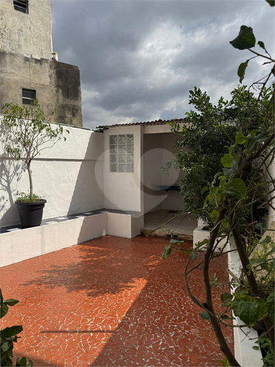 Foto REO1089740