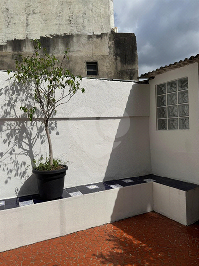 Foto REO1089740