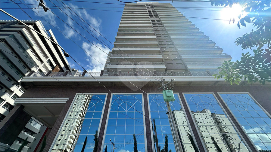 Foto REO1089743