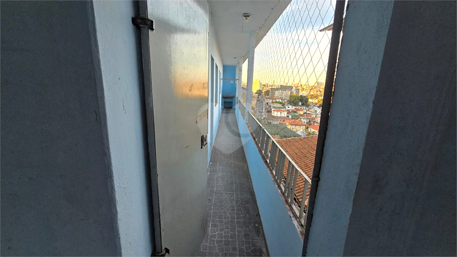 Foto REO1089747
