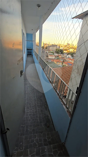 Foto REO1089747