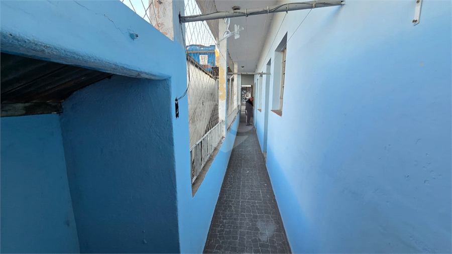 Foto REO1089747