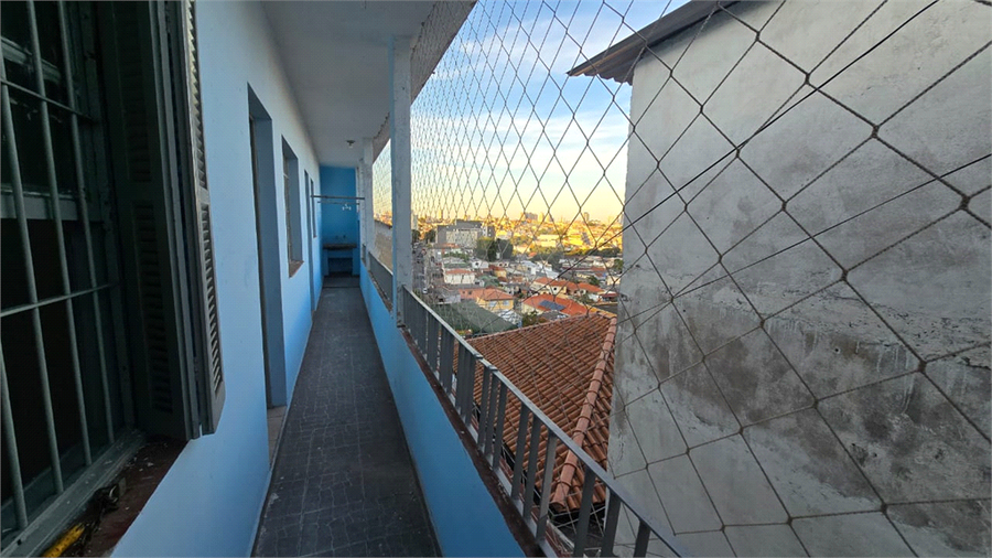 Foto REO1089747