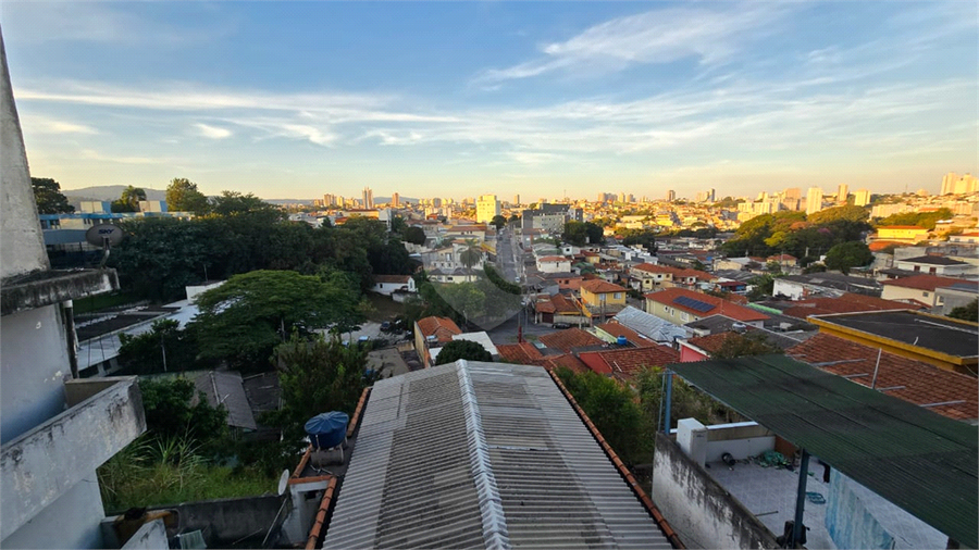 Foto REO1089747