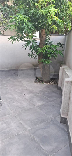 Foto REO1089773