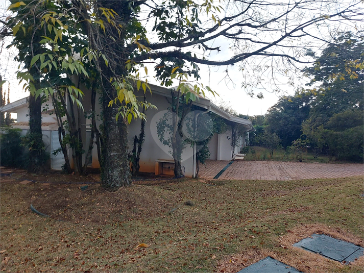 Foto REO1089777