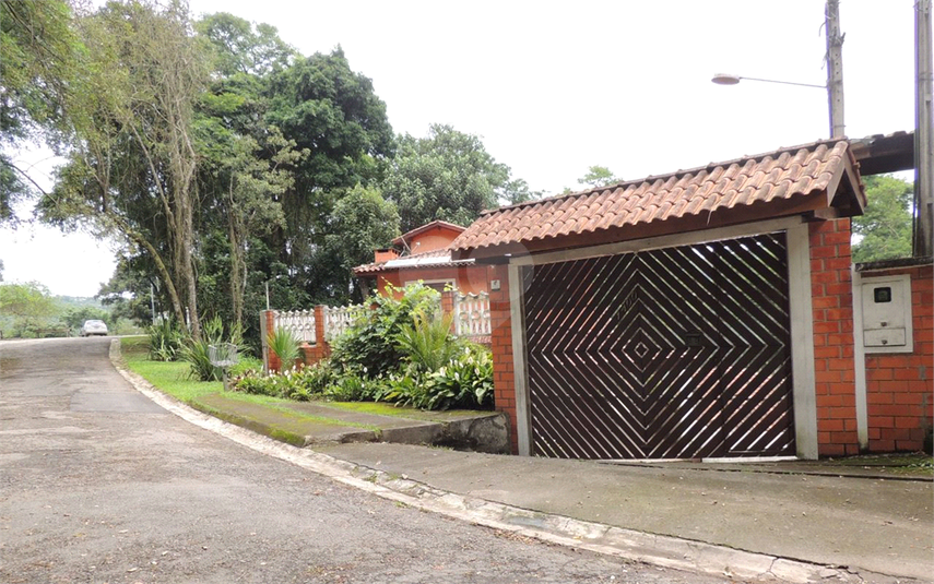 Foto REO1089783