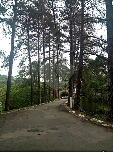 Foto REO1089783
