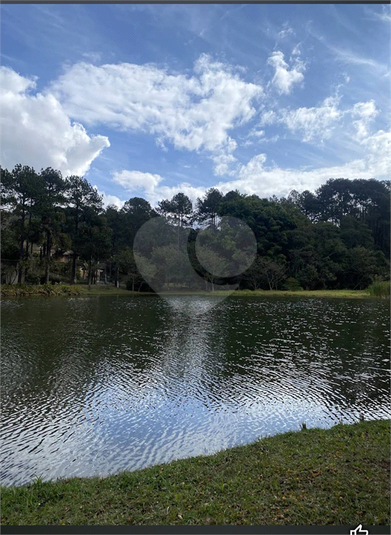 Foto REO1089783