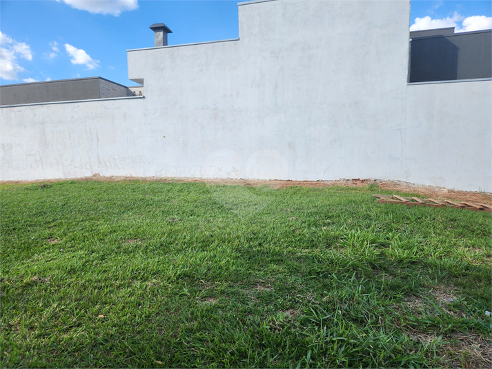Foto REO1089787