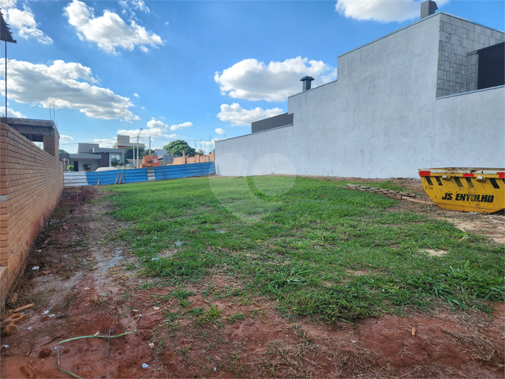 Foto REO1089787