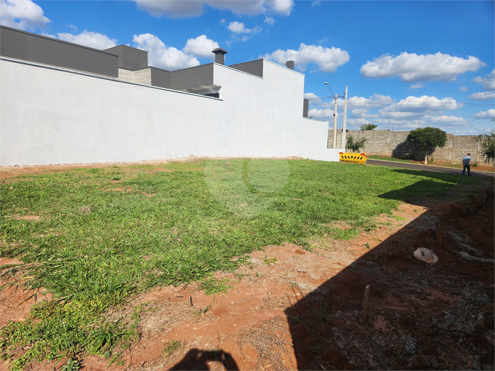 Foto REO1089787